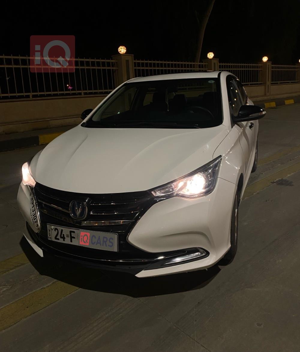 شانجان السفن